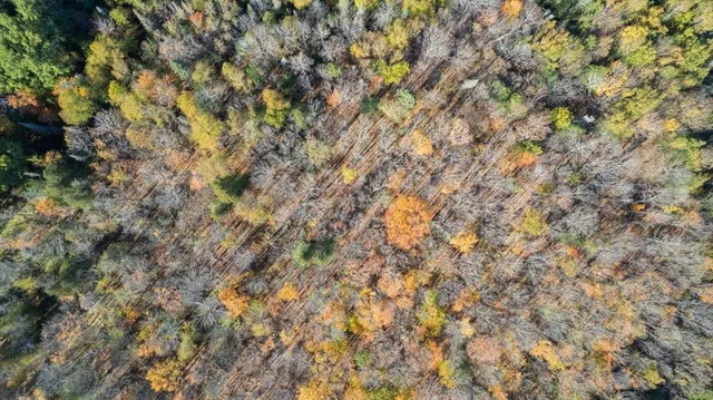 $150,000 | 5570 Lester River Road, Duluth, MN 55804