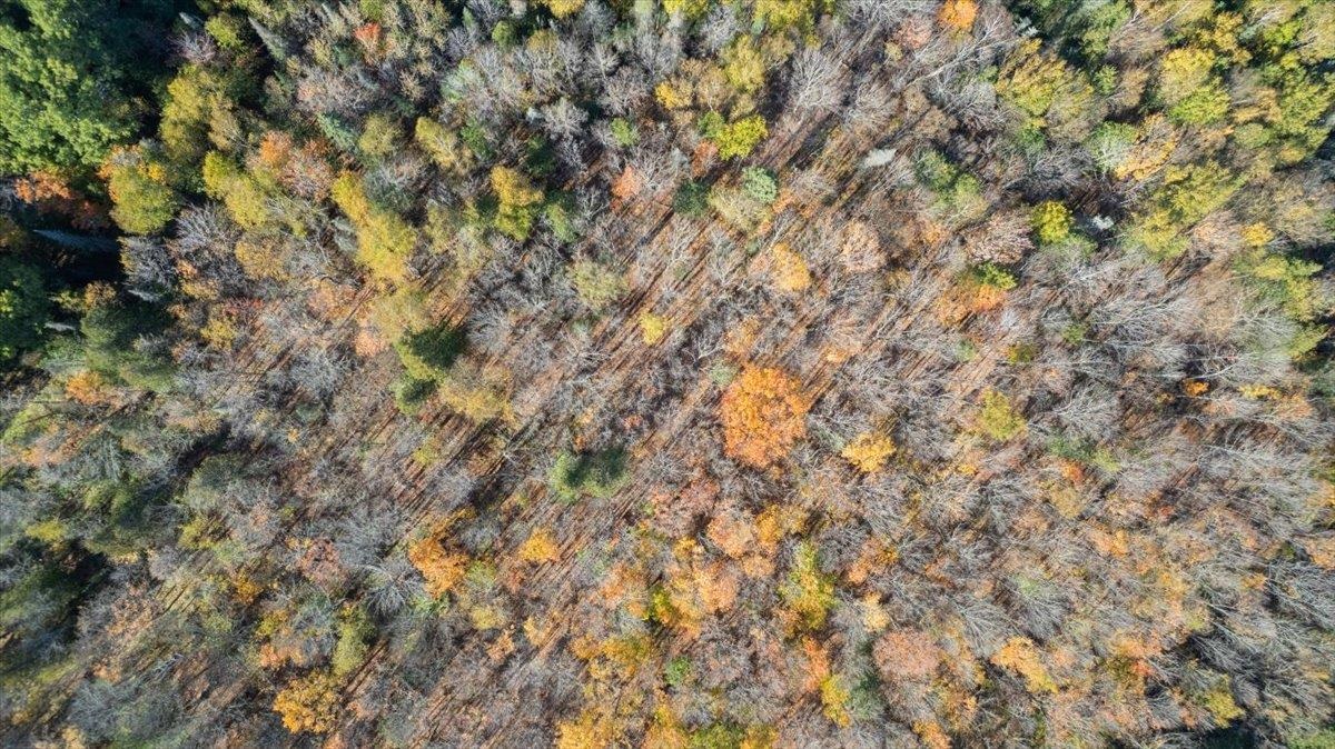 5570 Lester River Road Duluth, MN 55804 - Photo 6 of 11 View of property location