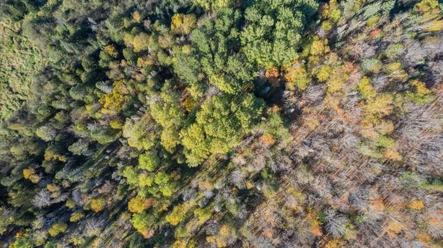 $150,000 | 5570 Lester River Road, Duluth, MN 55804