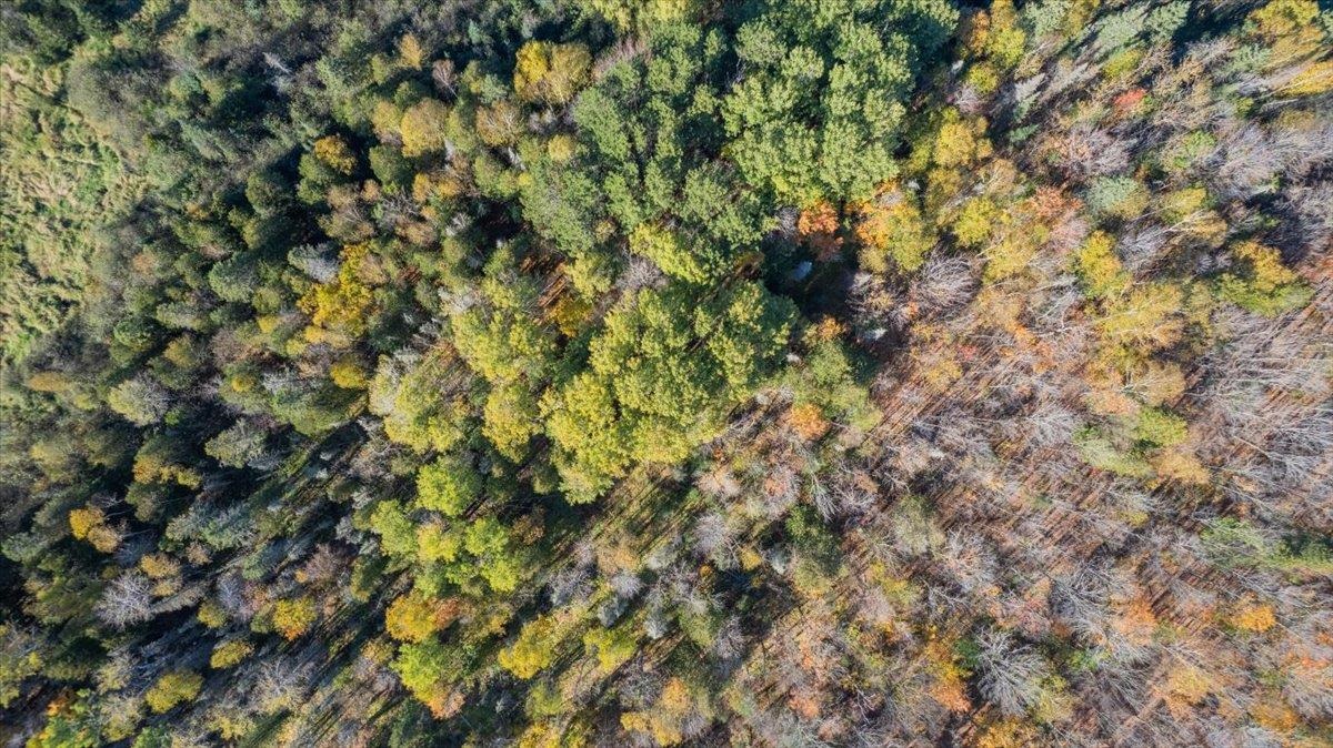 5570 Lester River Road Duluth, MN 55804 - Photo 7 of 11 Aerial overview of property's location