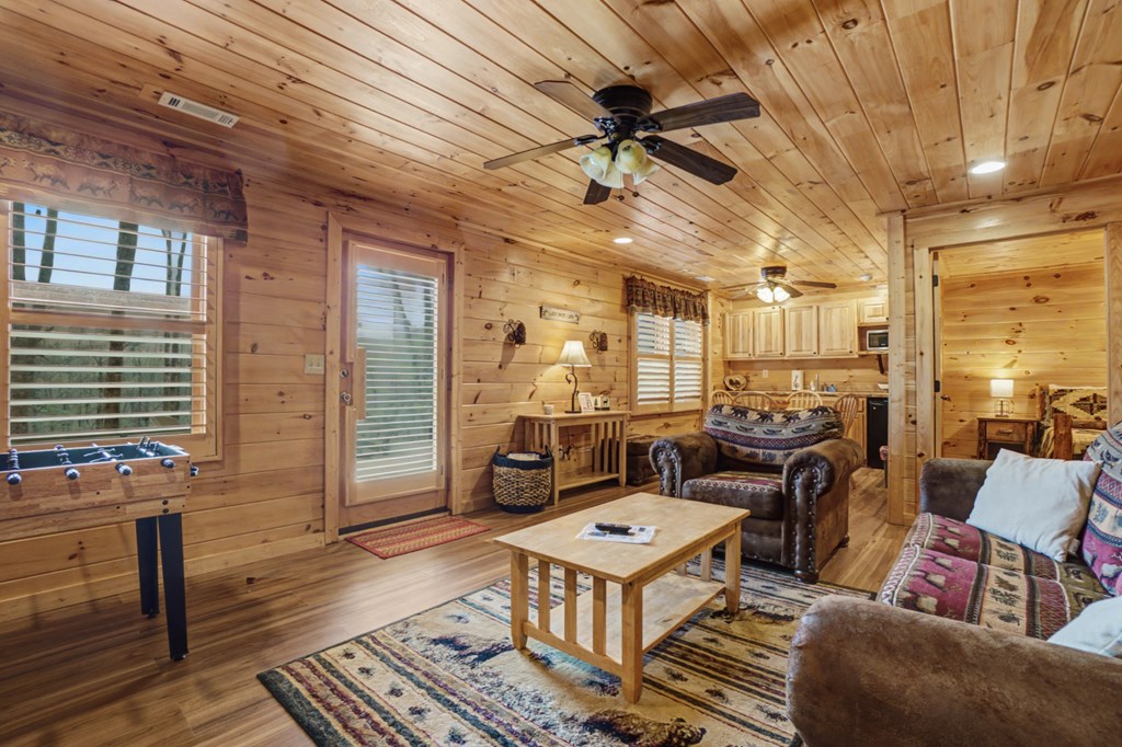 494 Lower Prince Mountain Road Cherry Log, GA 30522 - Photo 29 of 41 Gallery Image 29
