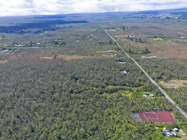 a view of dirt field with two large trees