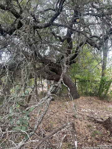 a backyard of a house with lots of plants and seating
