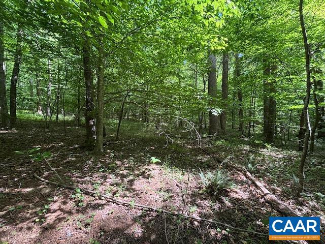 Tm36-5b Garth Run Road, Unit 5B Madison, VA 22727 - Photo 3 of 7 Gallery Image 3