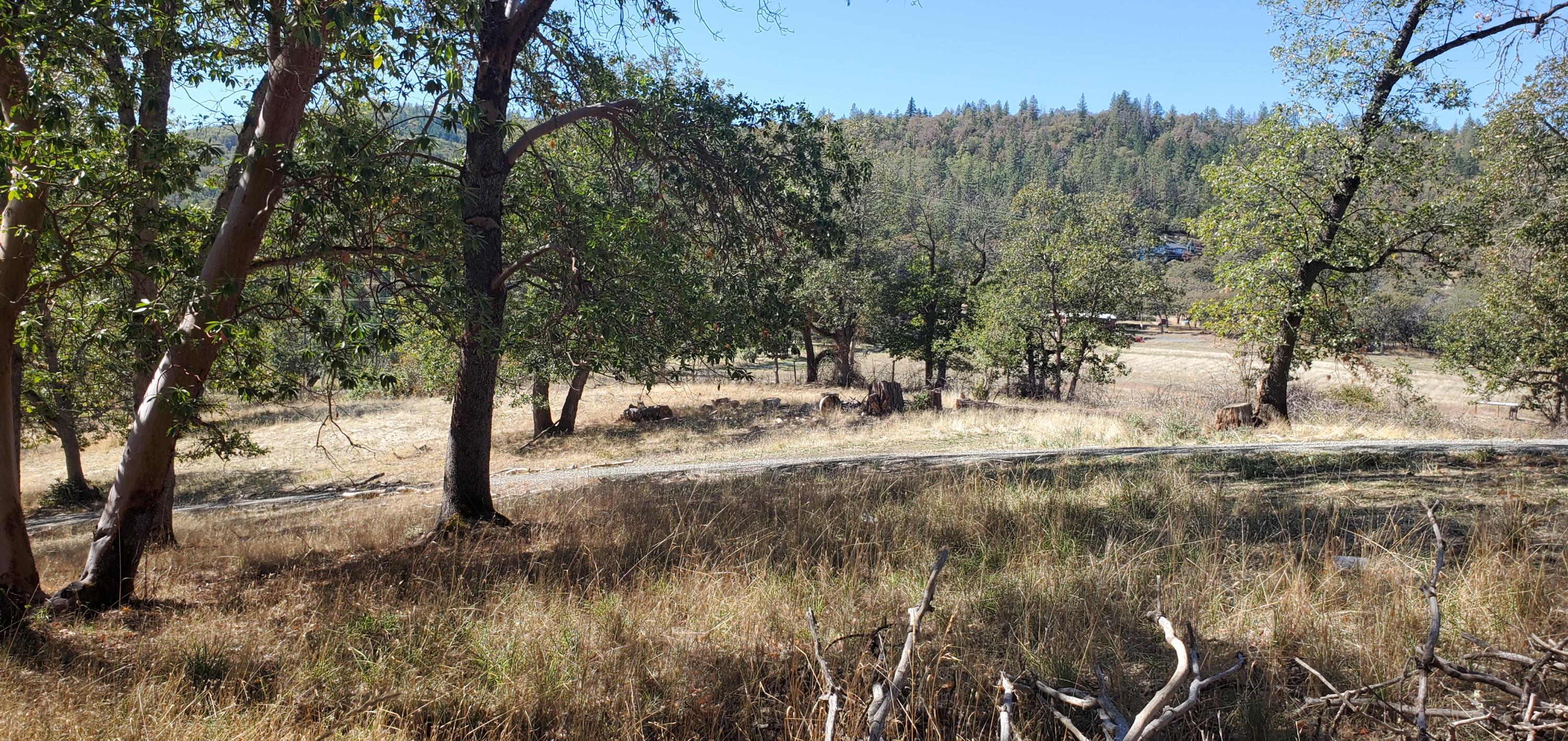 3001 Burrell Road Medford, OR 97501 - Photo 9 of 9