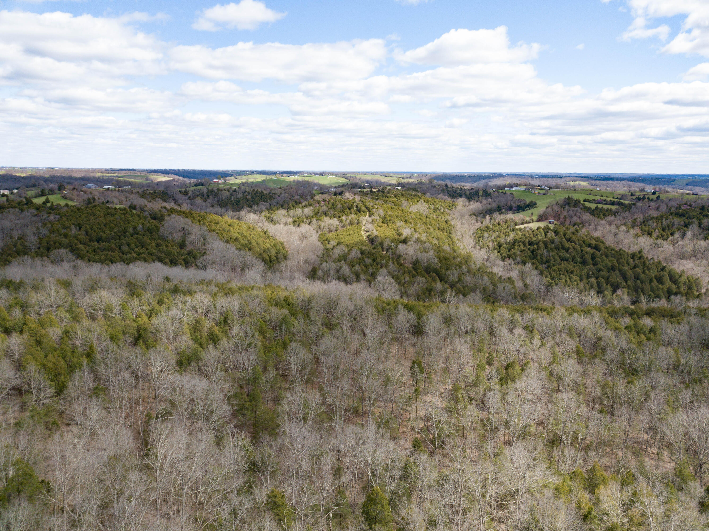 2618 Parina Road Brooksville, KY 41004 - Photo 18 of 23 Gallery Image 18