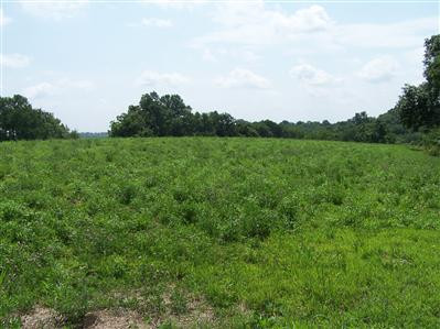 3 Fairview Road Williamstown, KY 41097 - Photo 1 of 1 Gallery Image 1