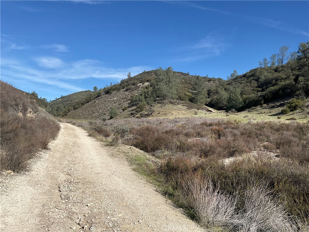 0 Argyle Road King City, CA 93930 - Photo 11 of 29 a view of a dry yard