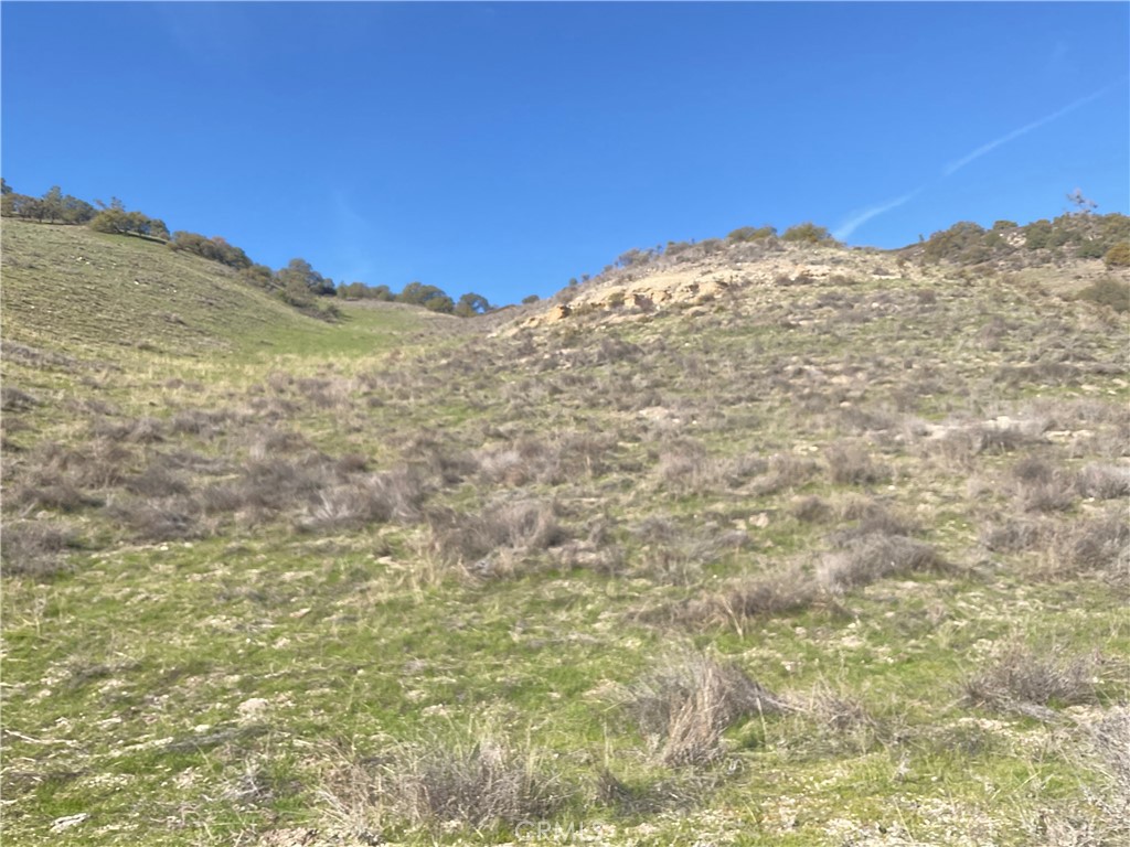 0 Argyle Road King City, CA 93930 - Photo 13 of 29 a view of a large trees with mountains in the background