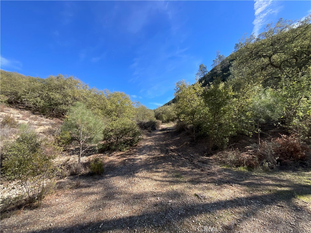 0 Argyle Road King City, CA 93930 - Photo 17 of 29 a view of a yard with a tree