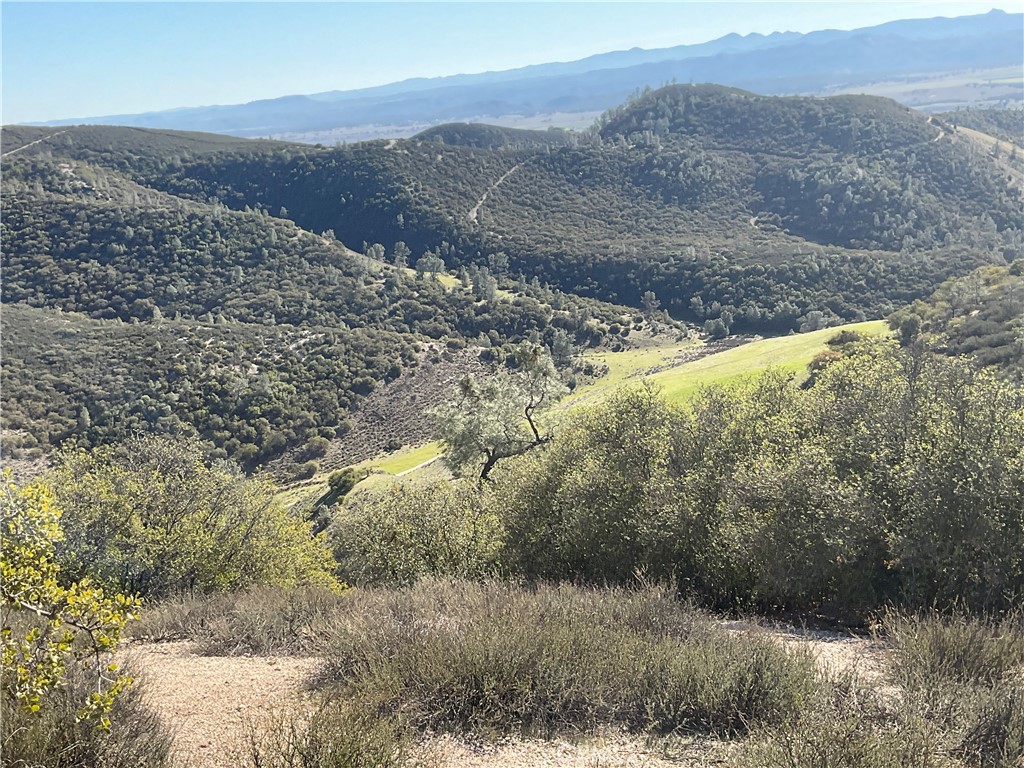 0 Argyle Road King City, CA 93930 - Photo 20 of 29 a view of a yard with a mountain