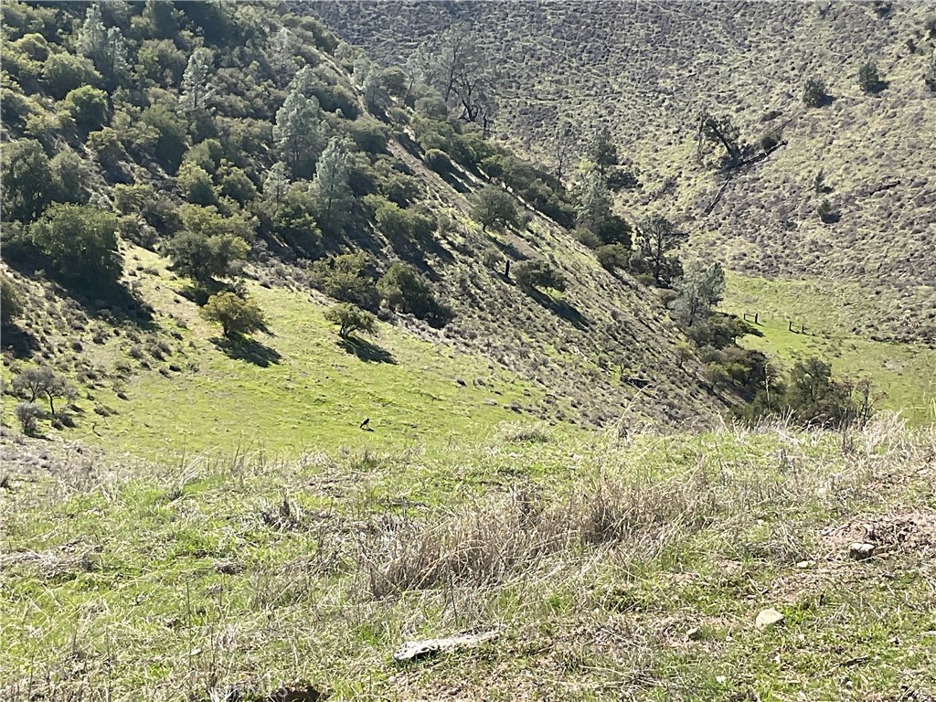0 Argyle Road King City, CA 93930 - Photo 21 of 29 a view of a yard