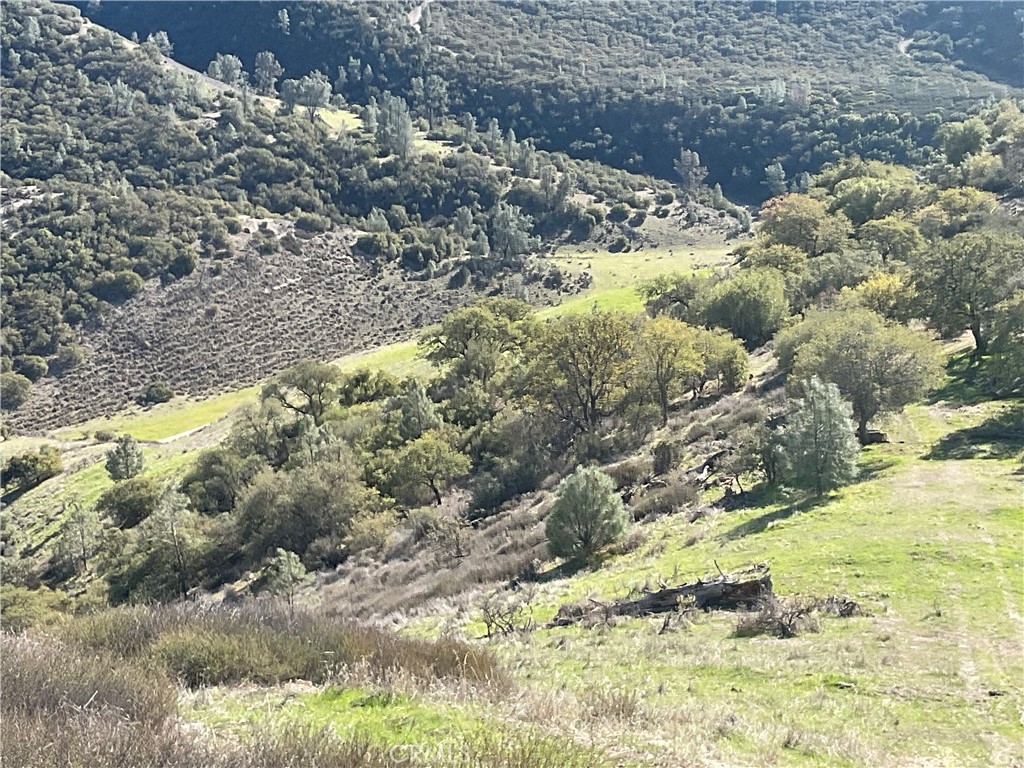 0 Argyle Road King City, CA 93930 - Photo 22 of 29 a view of a forest with a tree