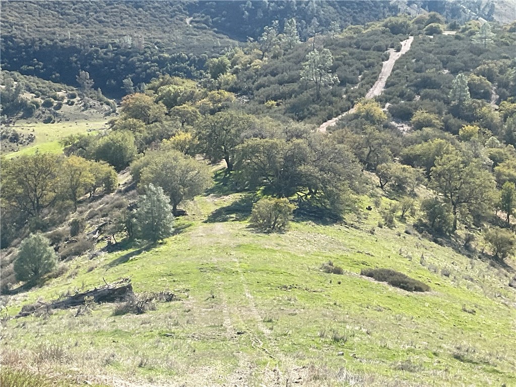 0 Argyle Road King City, CA 93930 - Photo 23 of 29 a view of a yard