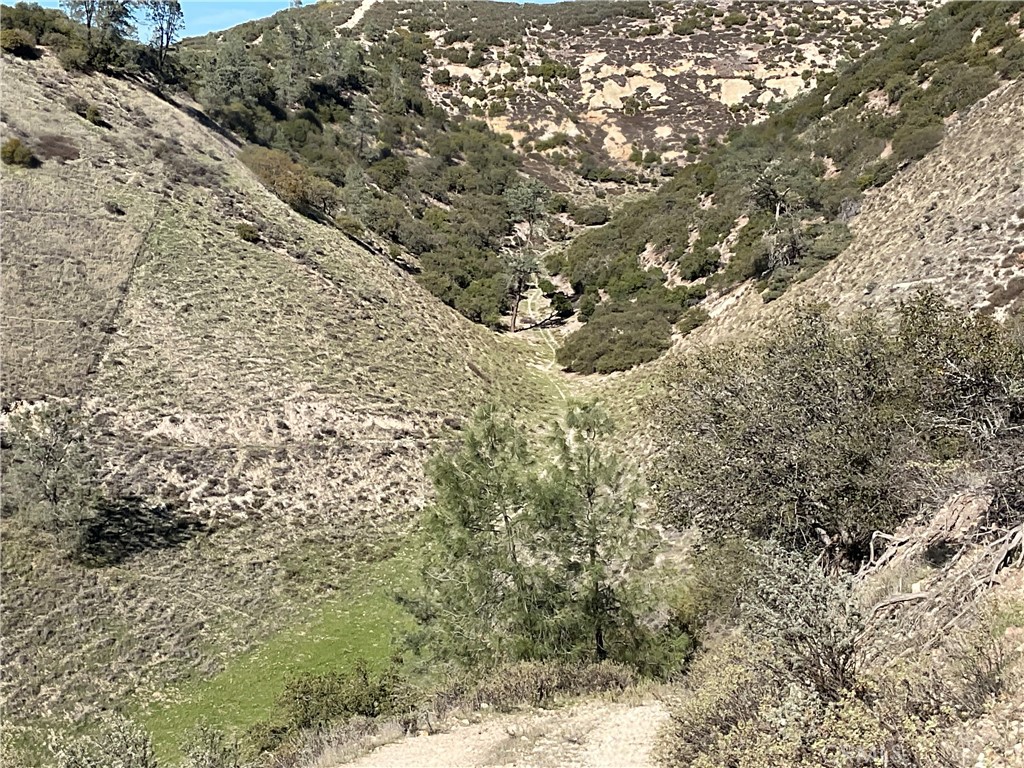 0 Argyle Road King City, CA 93930 - Photo 26 of 29 a view of a dry yard with large trees