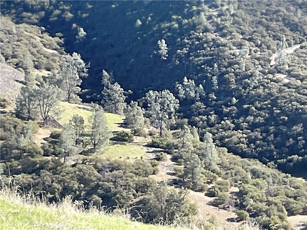 0 Argyle Road King City, CA 93930 - Photo 28 of 29 a view of outdoor space and covered with trees