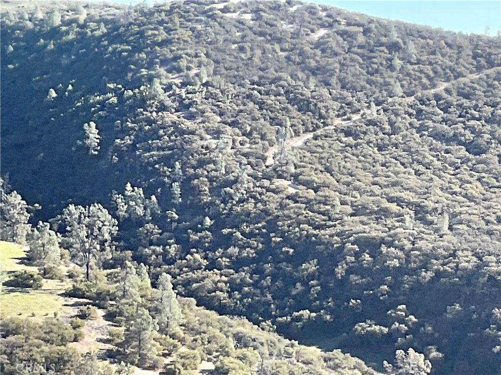 0 Argyle Road King City, CA 93930 - Photo 29 of 29 a view of a tree