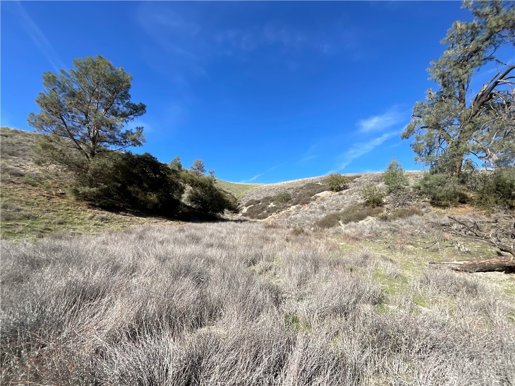 0 Argyle Road King City, CA 93930 - Photo 8 of 29