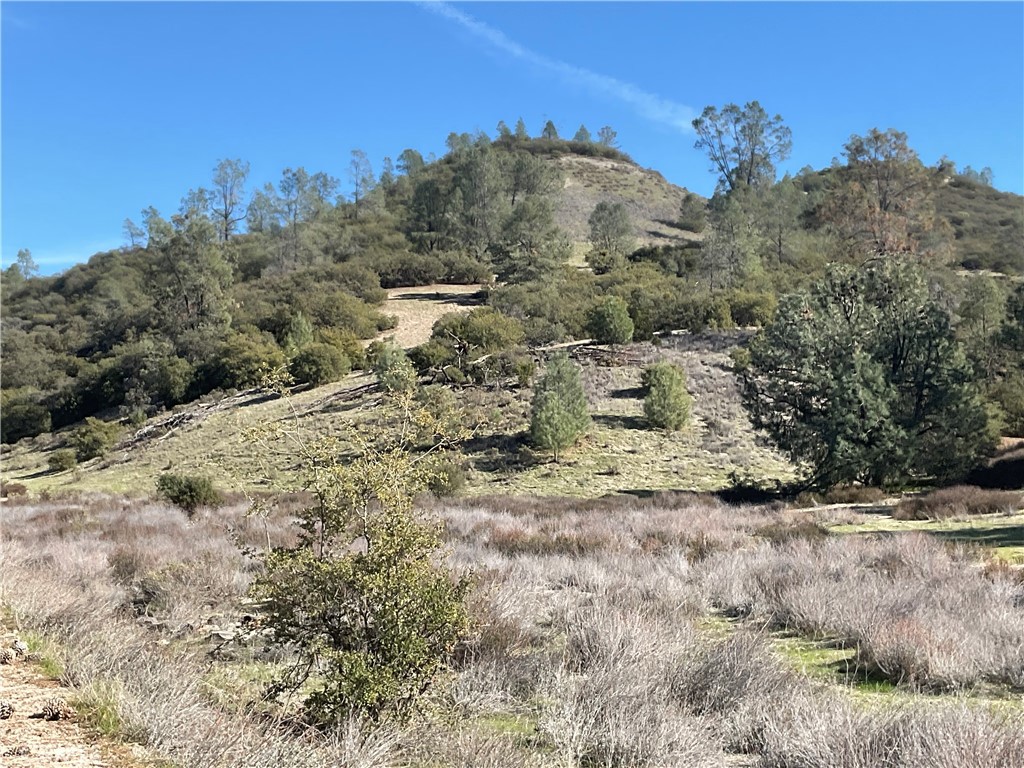 0 Argyle Road King City, CA 93930 - Photo 10 of 29 a view of a dry yard with trees