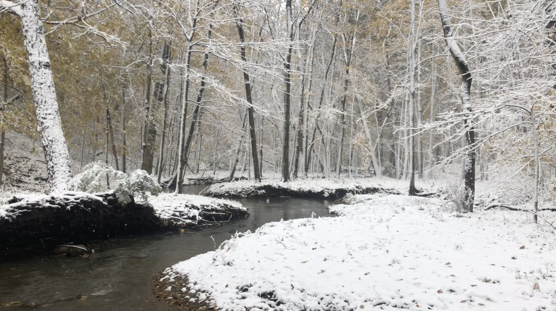 1400 Sheridan Road Winthrop Harbor, IL 60096 - Photo 5 of 10 a view of a backyard of snow