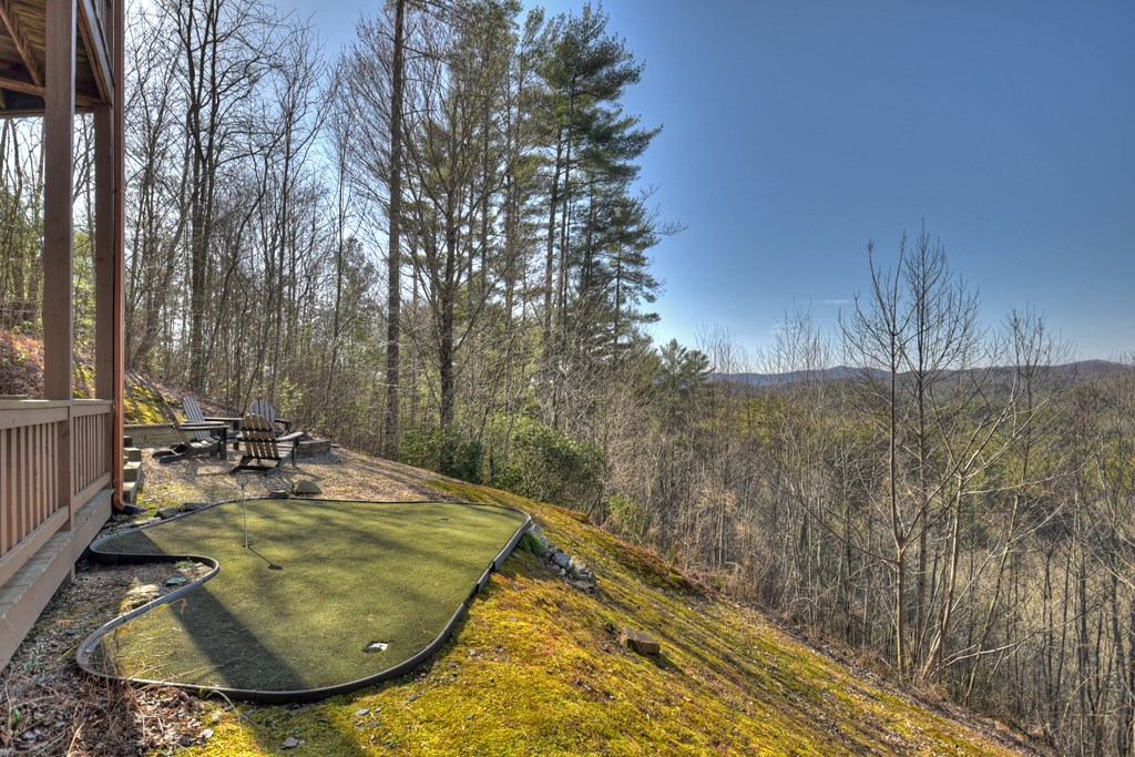 602 Laurel Creek Trail Blue Ridge, GA 30513 - Photo 46 of 53 putting green in back yard