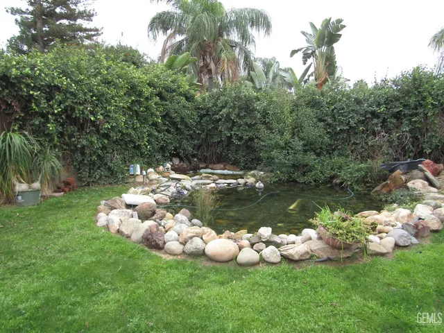 a view of a yard with plants and tree
