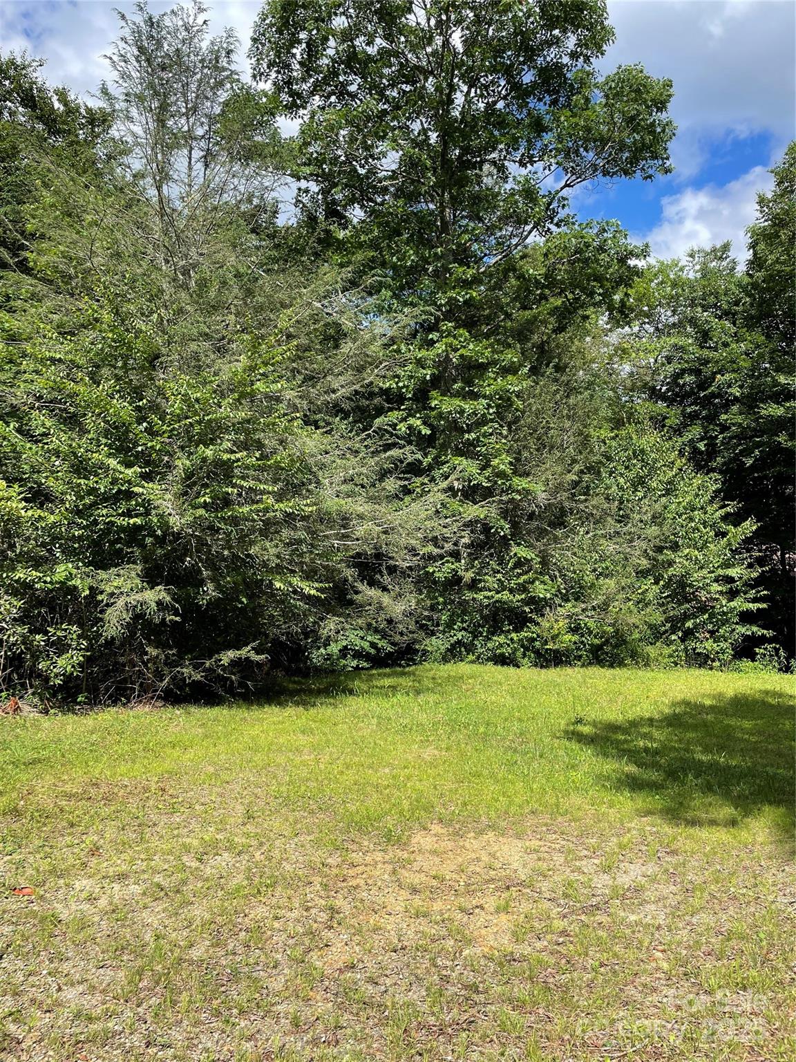 686 Mash Stomp Road Maggie Valley, NC 28751 - Photo 2 of 12