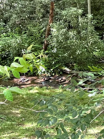 $120,000 | 686 Mash Stomp Road, Maggie Valley, NC 28751