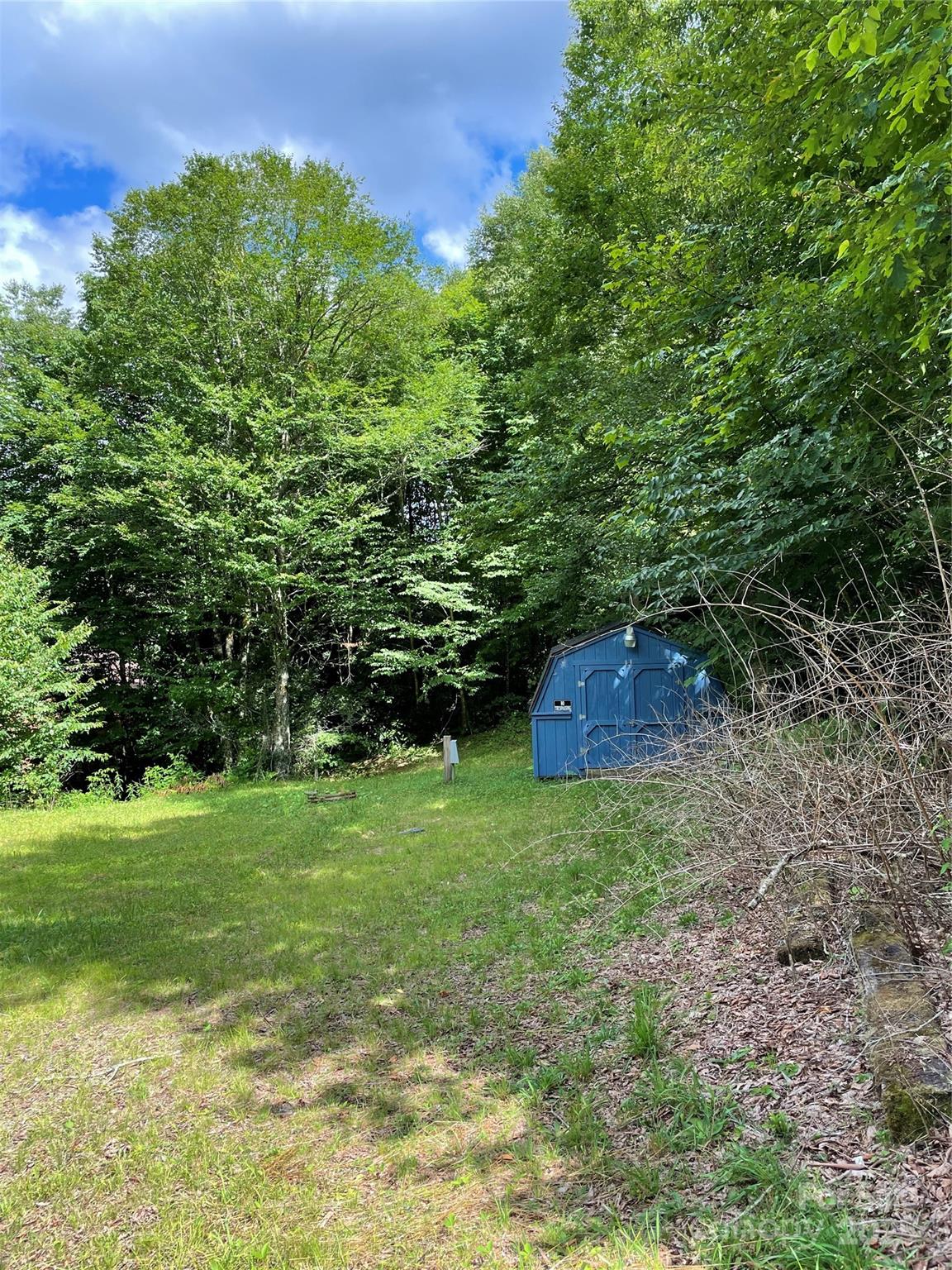 686 Mash Stomp Road Maggie Valley, NC 28751 - Photo 8 of 12