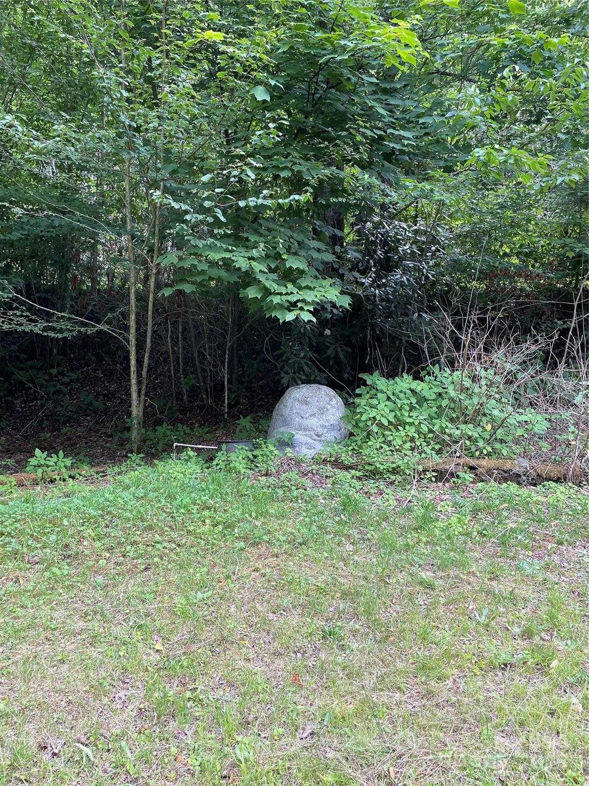 686 Mash Stomp Road Maggie Valley, NC 28751 - Photo 10 of 12