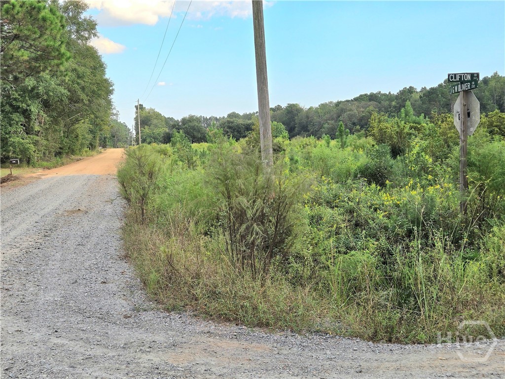 0 G W Oliver Road Statesboro, GA 30458 - Photo 11 of 13
