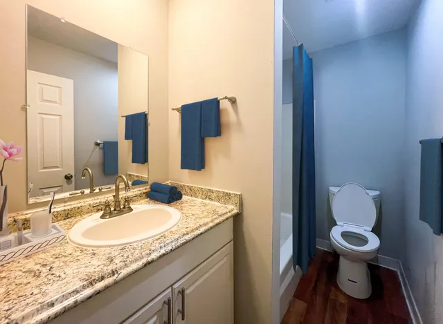 a bathroom with a granite countertop toilet sink and mirror