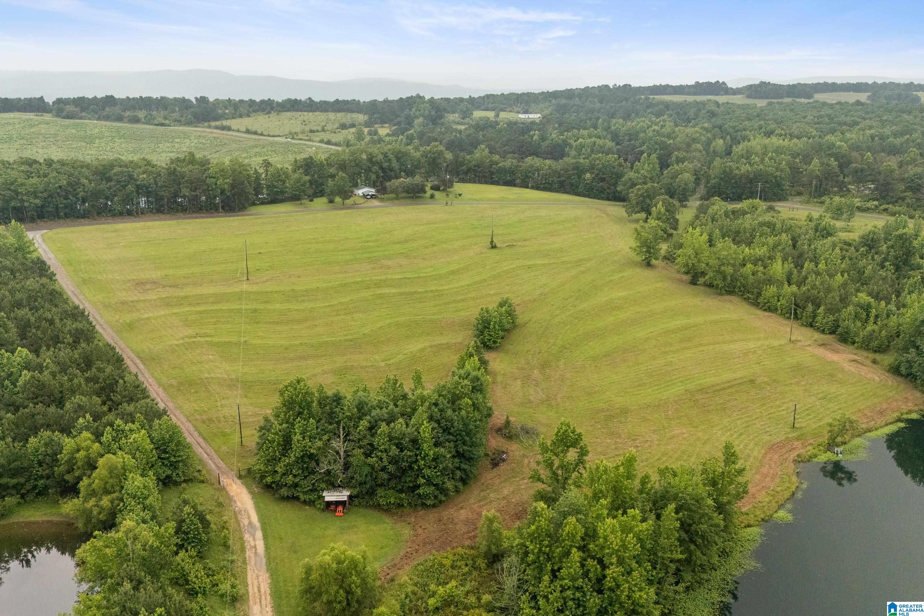 1484 Jones Chapel Loop, Unit 1484 Springville, AL 35146 - Photo 11 of 27
