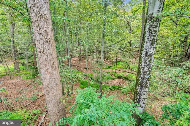 a view of statue in the garden