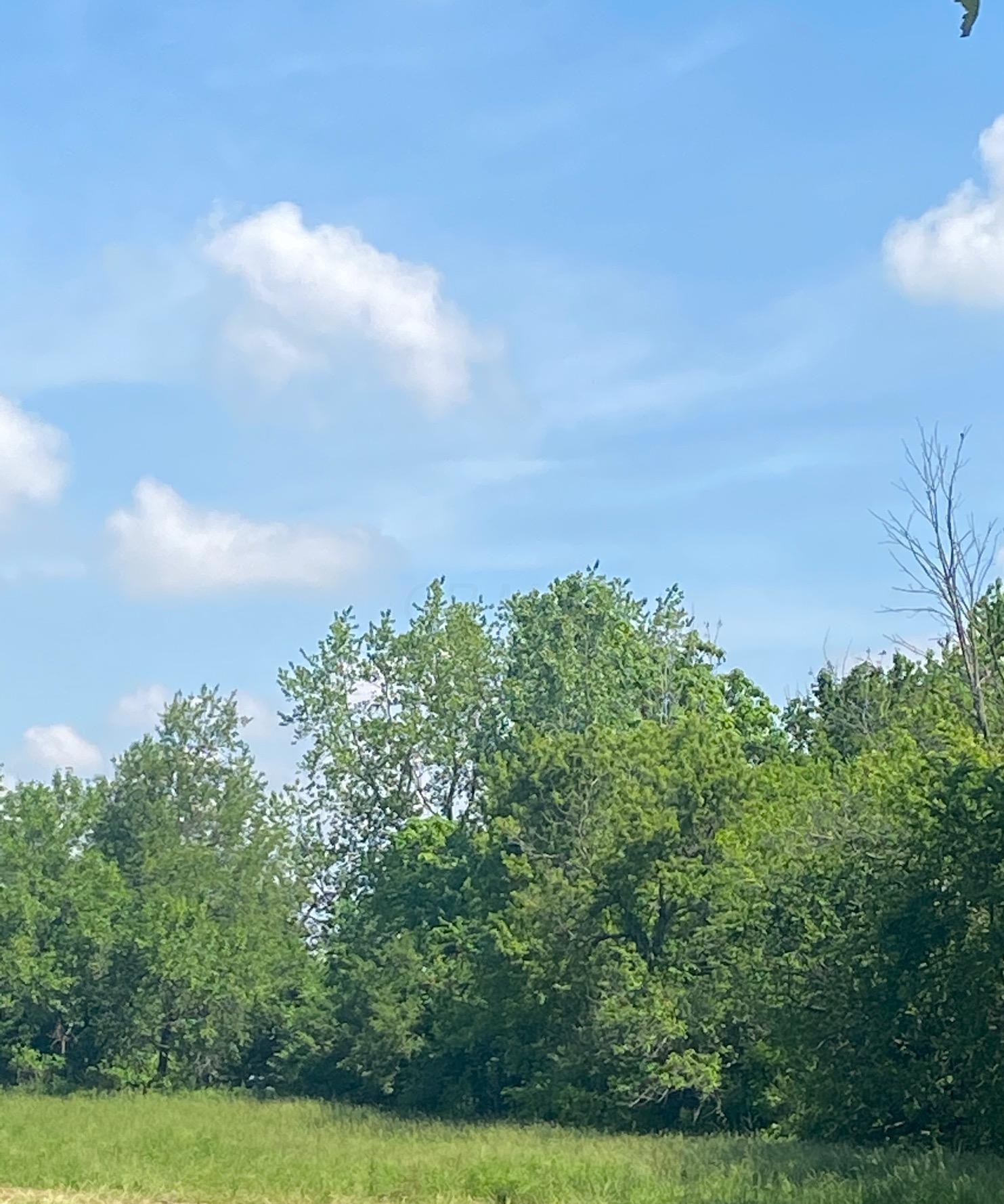 11016 Rosedale Road Mechanicsburg, OH 43044 - Photo 1 of 1