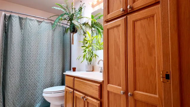 a bathroom with a toilet a sink and curtain