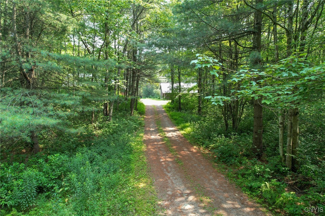 657 County Rte 15 Boylston, NY 13083 - Photo 11 of 42