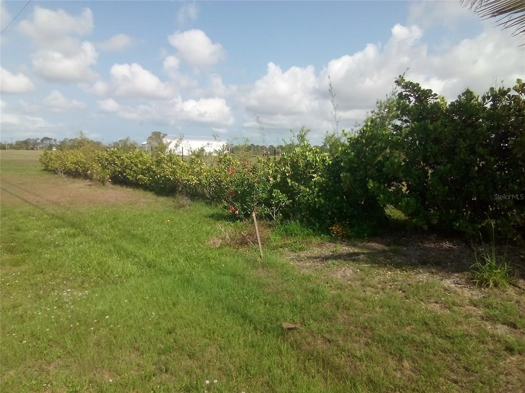 102 Harness Road Placida, FL 33946 - Photo 4 of 12 a backyard of a house with lots of green space