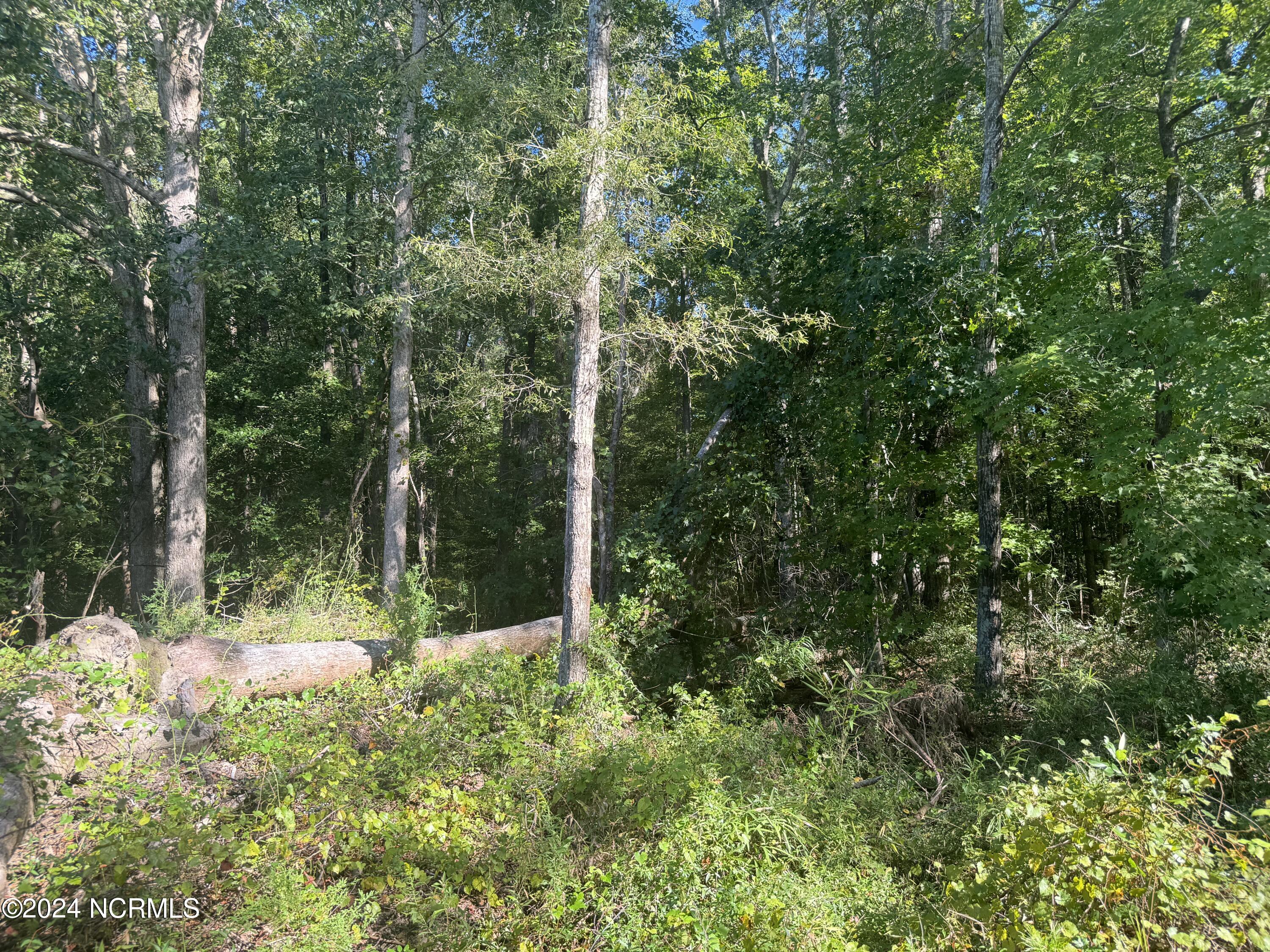 57 Truitt Road New Bern, NC 28560 - Photo 5 of 7 IMG_0370