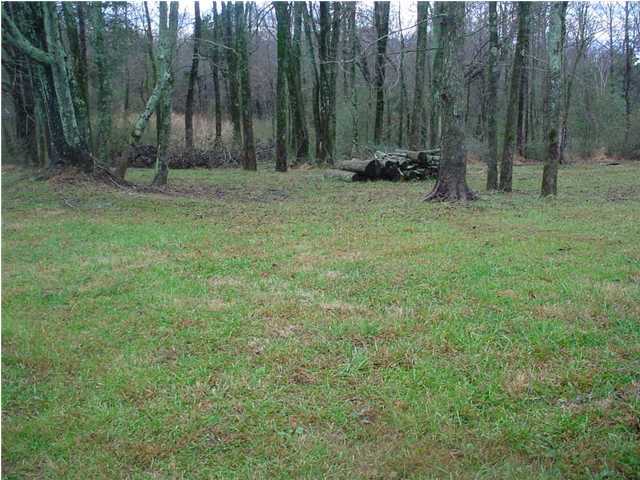 1270 Keith Valley Road Southeast Cleveland, TN 37323 - Photo 7 of 8 Additional Photo