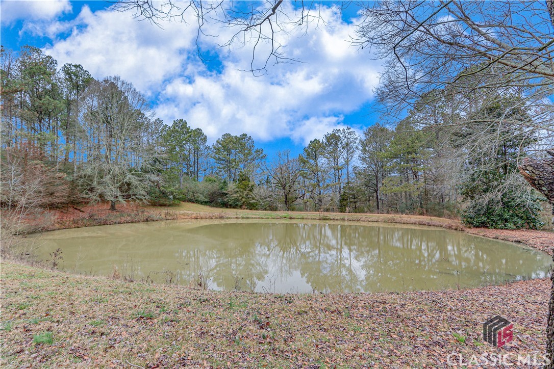 861 Stephens Salem Road Stephens, GA 30667 - Photo 18 of 49