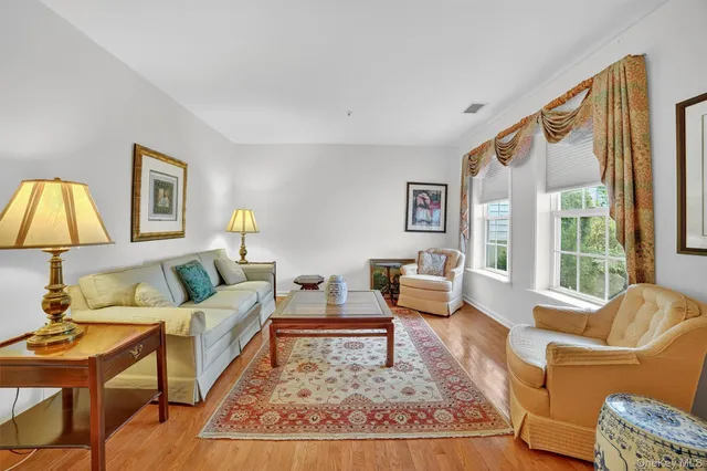 a living room with furniture and a rug