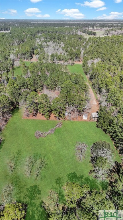 6518 Buchan Road Pembroke, GA 31321 - Photo 18 of 27