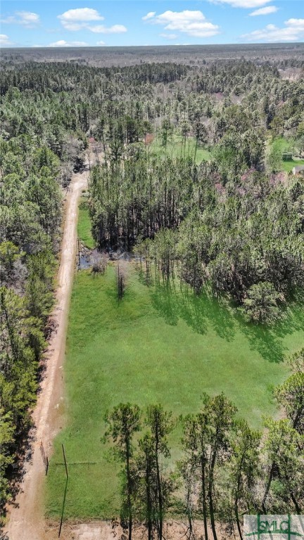 6518 Buchan Road Pembroke, GA 31321 - Photo 19 of 27