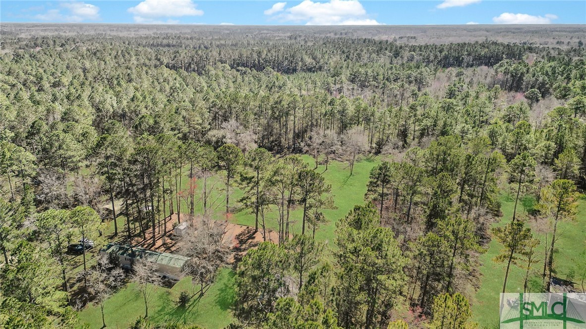 6518 Buchan Road Pembroke, GA 31321 - Photo 21 of 27