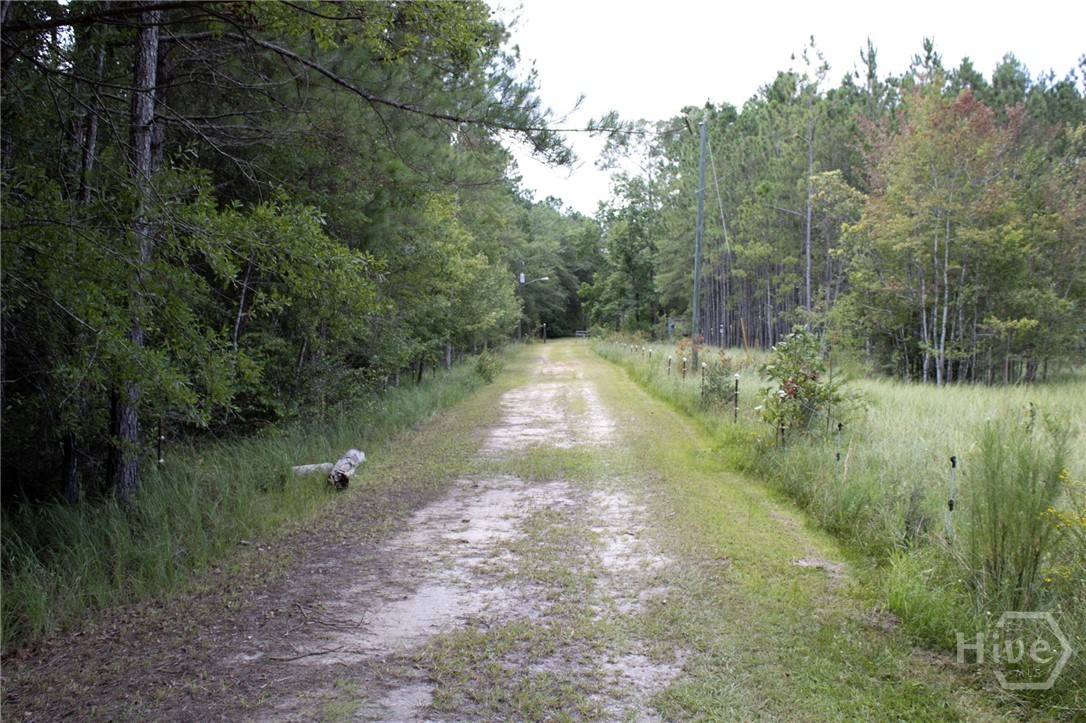 6518 Buchan Road Pembroke, GA 31321 - Photo 26 of 27