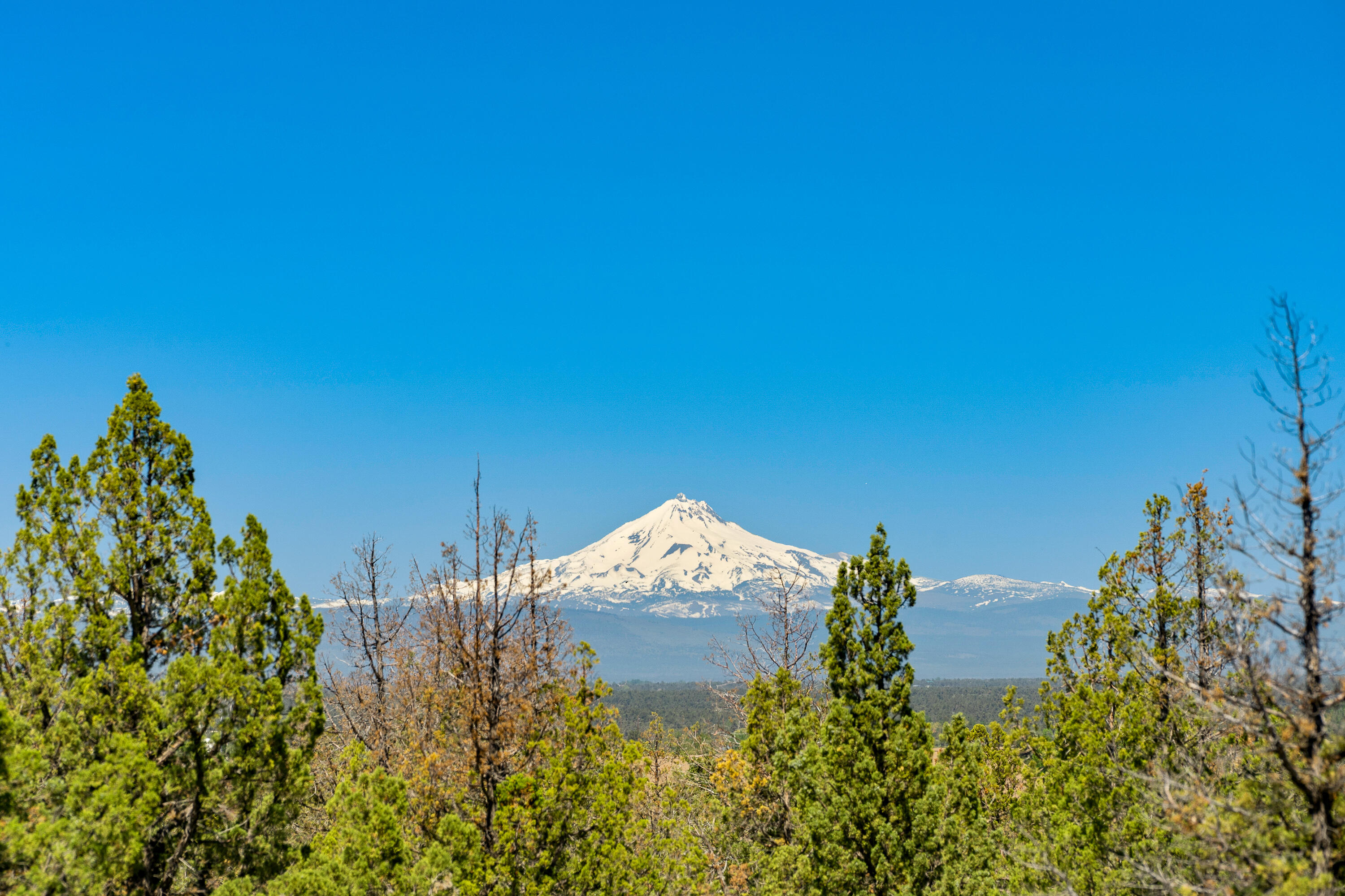 Southwest Joshua Court Powell Butte, OR 97753 - Photo 1 of 21 DSC06825