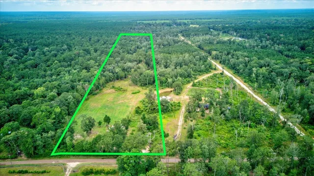 a view of a lush green space