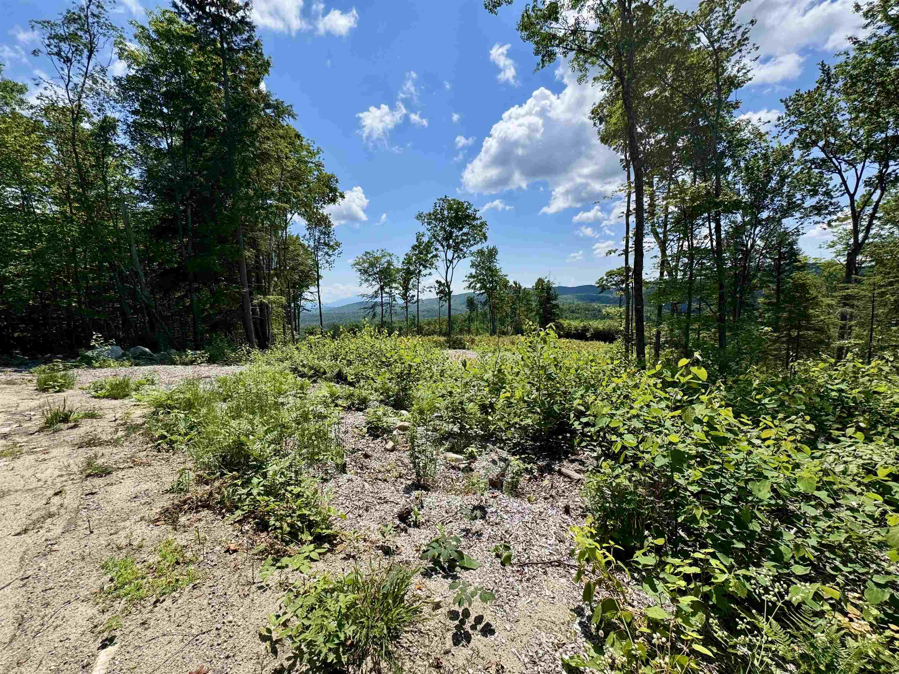 0 Annis Road Groton, VT 05046 - Photo 1 of 10