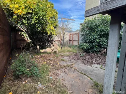 a view of a yard with plants and a tree
